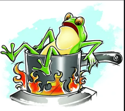 2020 07 31 10 54 40 boiling frog Google Search