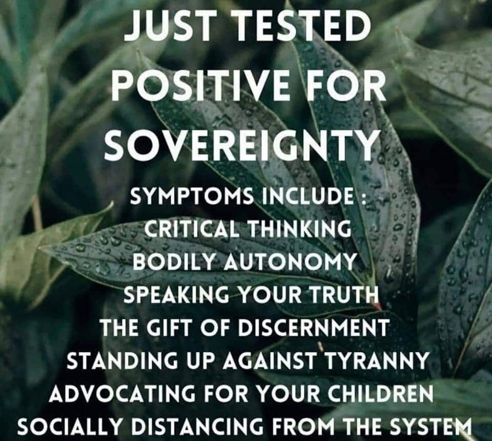 sovereignty virus